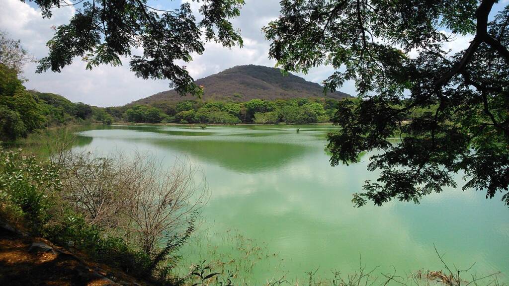 Interior designers in Otteri