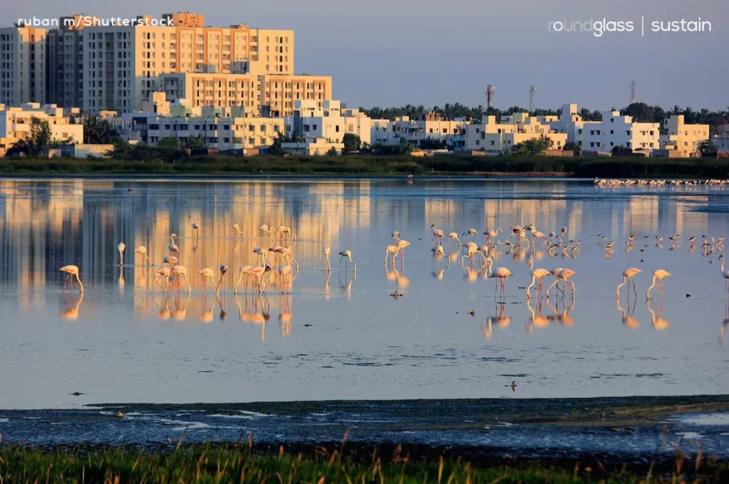 Interior designers in Pallikaranai